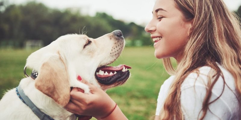 5 Ways to Keep Pet Hair Out of Your Laundry